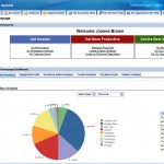 Oracle on Demand Sales screenshot