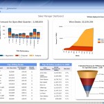 Microsoft Dynamic CRM Dashboard